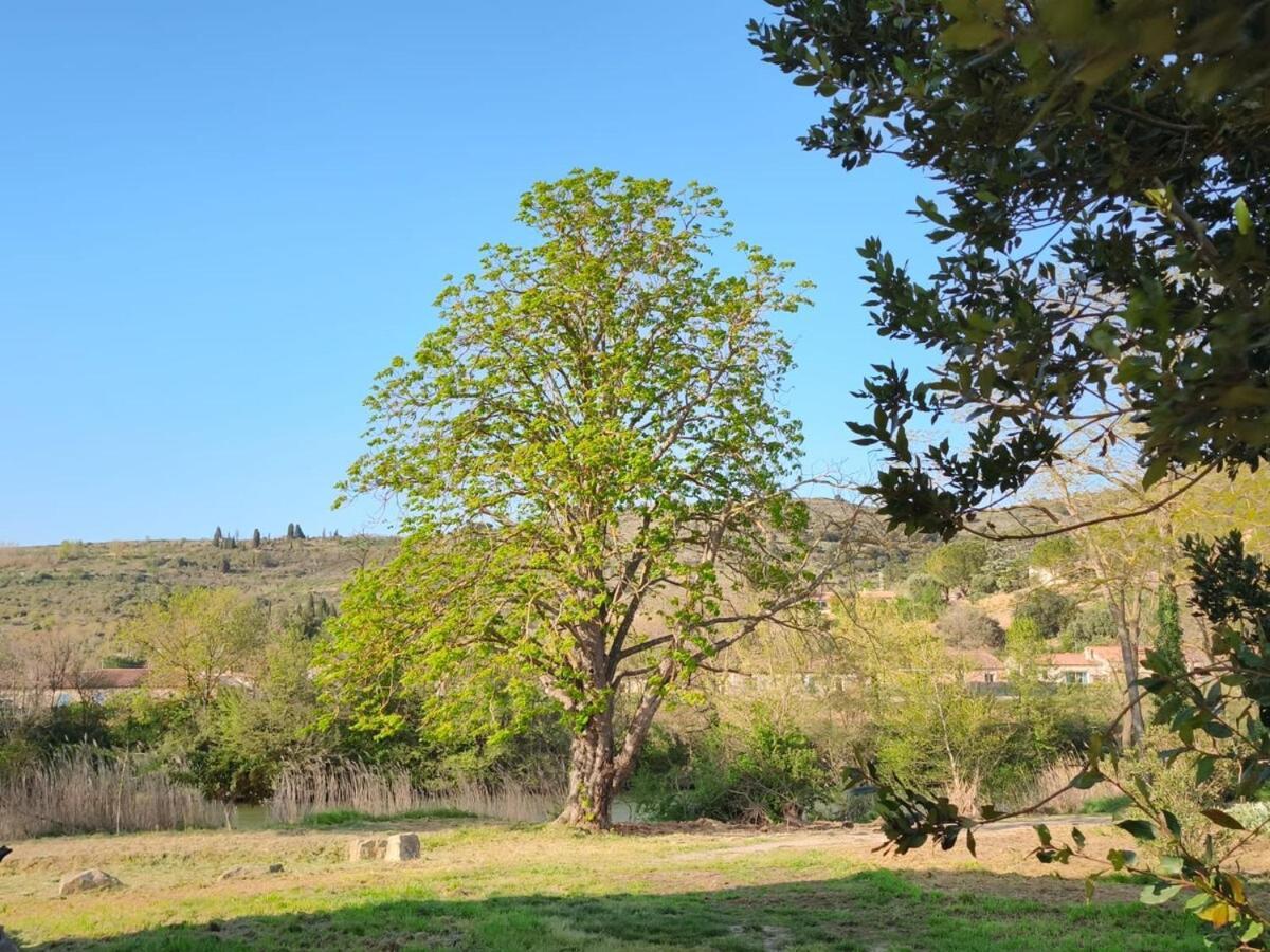 La Maison De L'Aqueduc Cournanel Εξωτερικό φωτογραφία